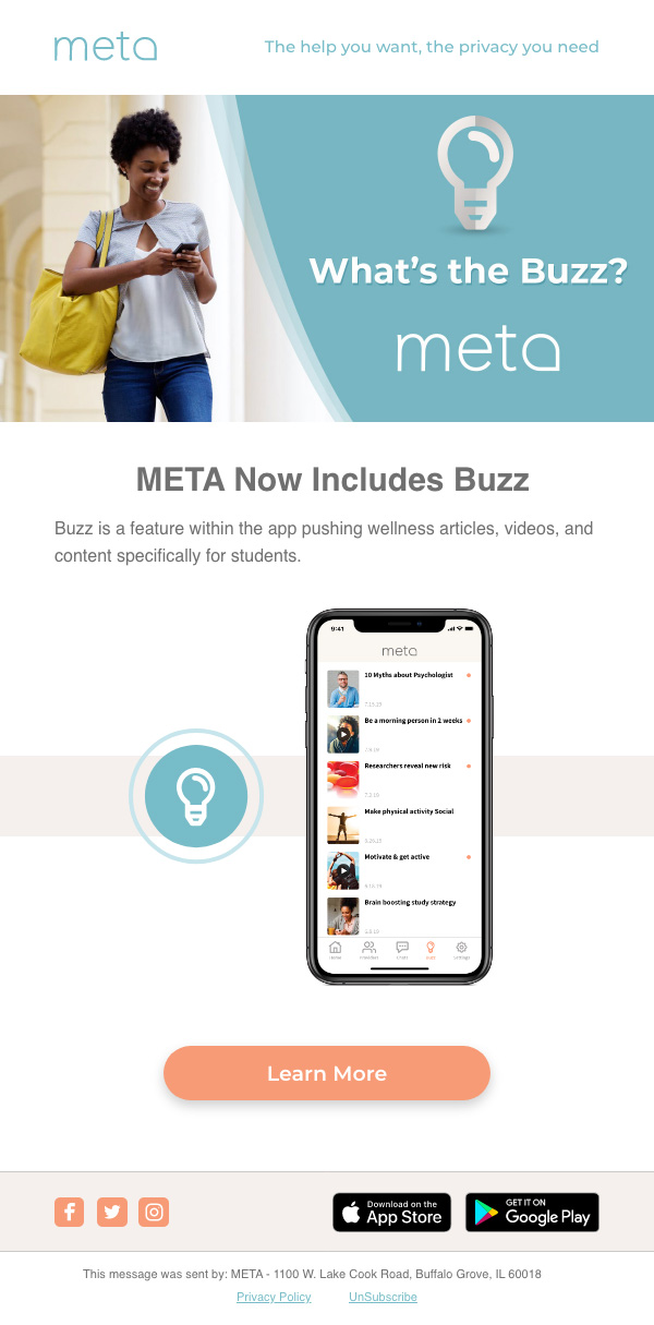 what does meta mean by work email address